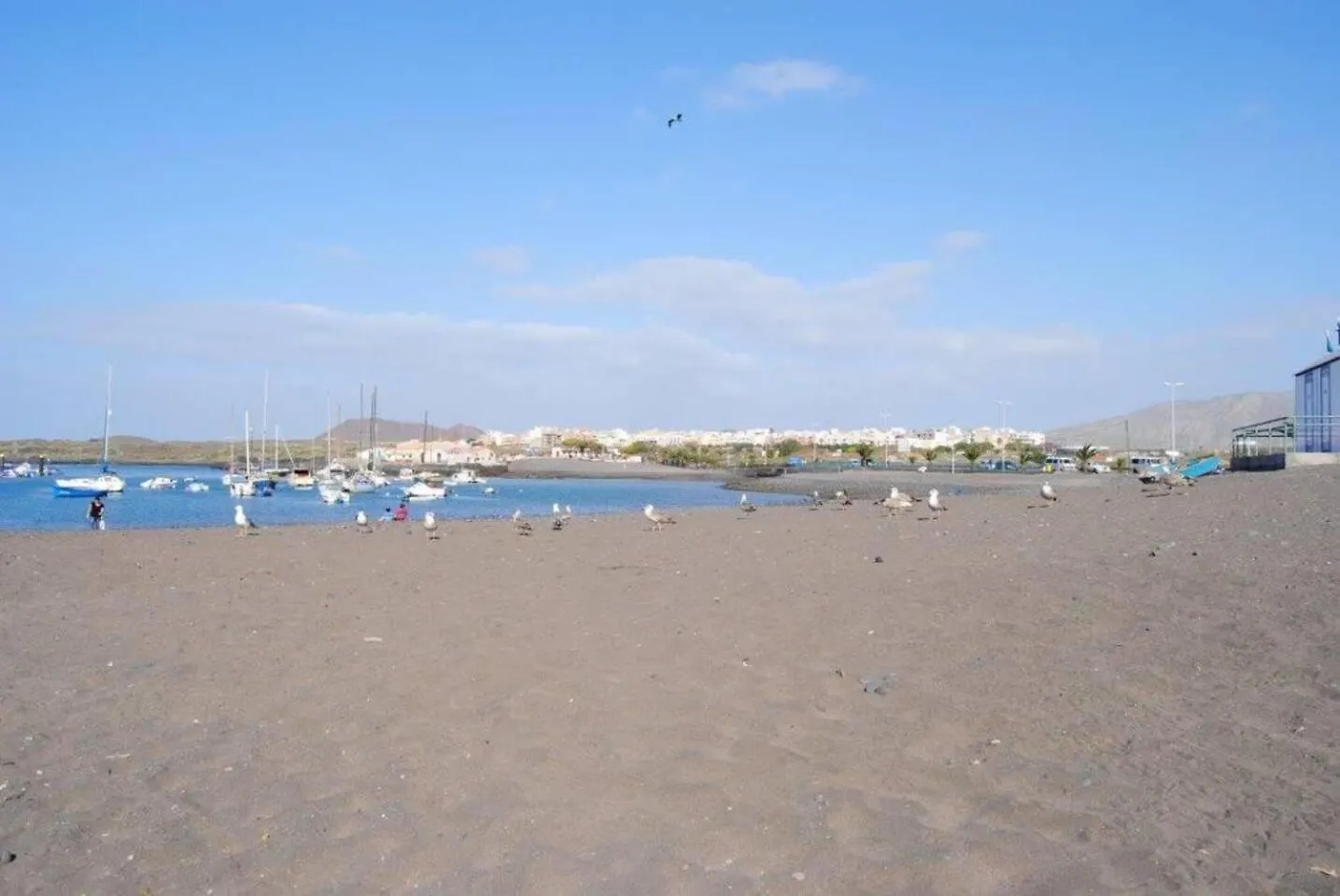 Nureche Dreams Apartment In Tenerife South Guargacho